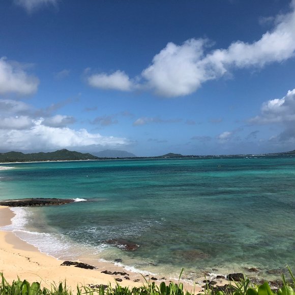 Meet your Posher, Elle - Picture 1 of 1